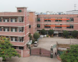 萝卜视频高清观看免费下载的厂区