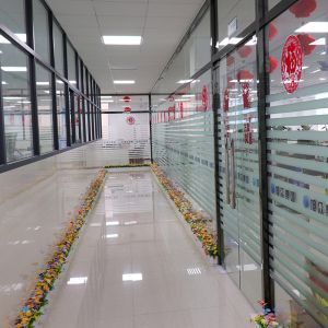 2021萝卜视频高清观看免费下载的新办公区